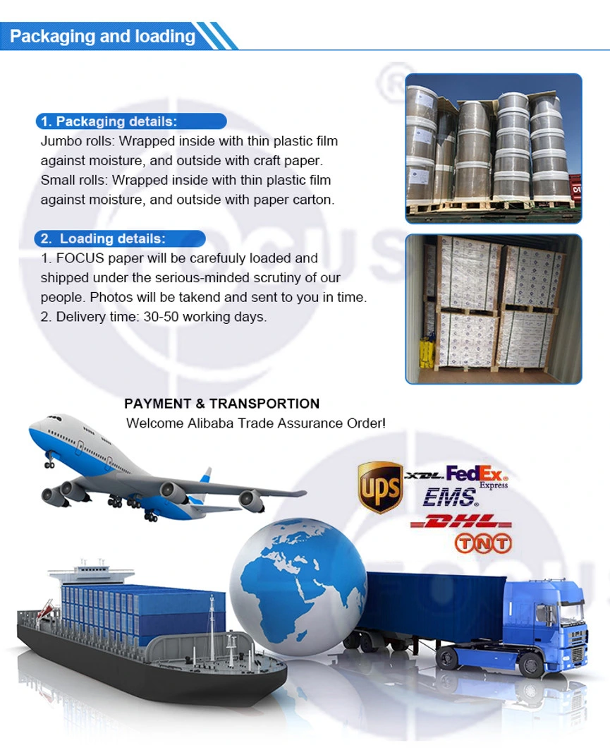 ป้ายความร้อน Eco Thermal Shipping Labeling Jumbo Roll 70GSM 75GSM 5