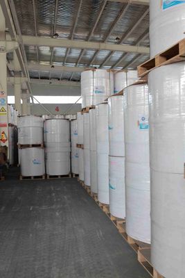 เทคโนโลยีการพิมพ์ทางความร้อนโดยตรง กระดาษระบายราคาด้วยความร้อน ภาพดํา ≥5 ปี อายุภาพ สําหรับบริการพิมพ์ระบายราคาง่าย