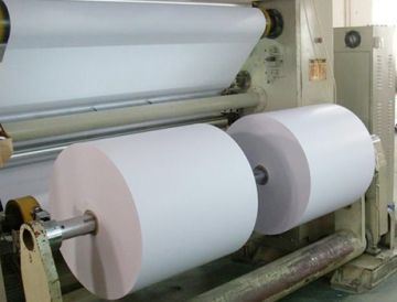 Direct Thermal Print Technology Thermal Label Paper Roll for Retail Logistics and Healthcare