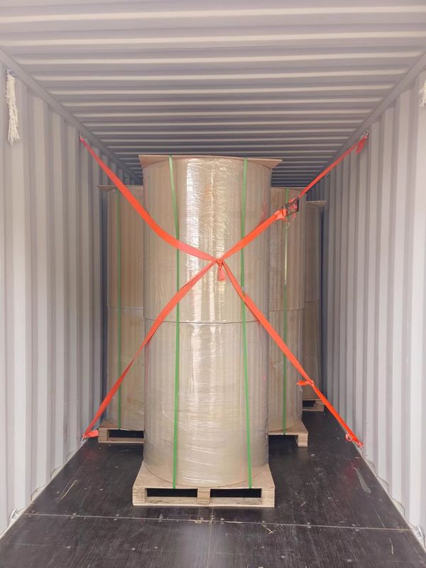 55GSM Thermal Paper Jumbo Roll with Excellent Coating and Smooth Surface for Printing