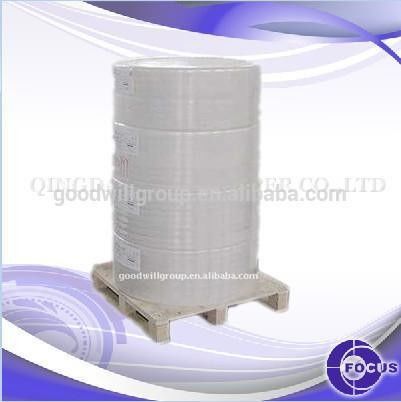 48GSM/55GSM Thermal Paper Jumbo Roll Good Smoothness Surface
