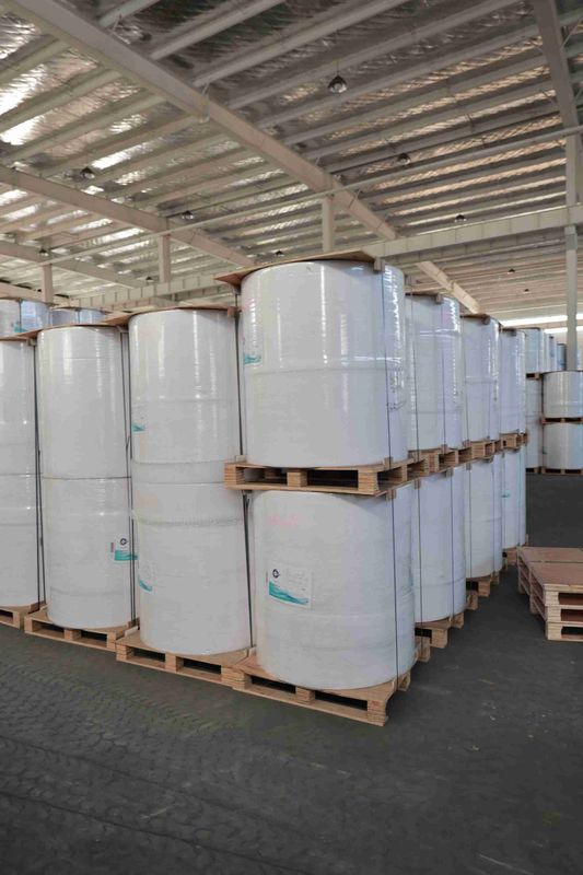 BPA Free Focus Brand Thermal Paper High Smoothness Suitable Optical Density 100% Imported Wood Pulp