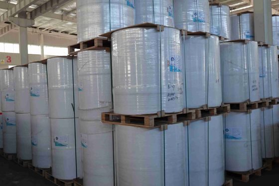 กระดาษเทอร์มอลนำเข้า 100% เยื่อไม้บริสุทธิ์ ปลอดสาร BPA ความเรียบสูง แรงดึงสูง อายุการพิมพ์ยาวนาน