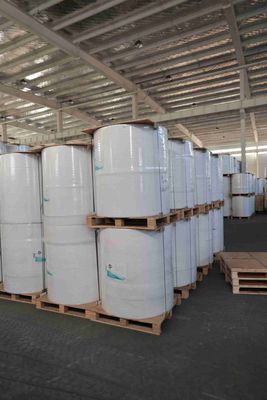 หนังสือพิมพ์ความร้อนไร้ BPA สําหรับใบตรา POS, กระดาษเครื่องพิมพ์ ATM, หนังสือพิมพ์ความร้อนที่ทนน้ํามัน ✅ อายุภาพ 5+ ปี