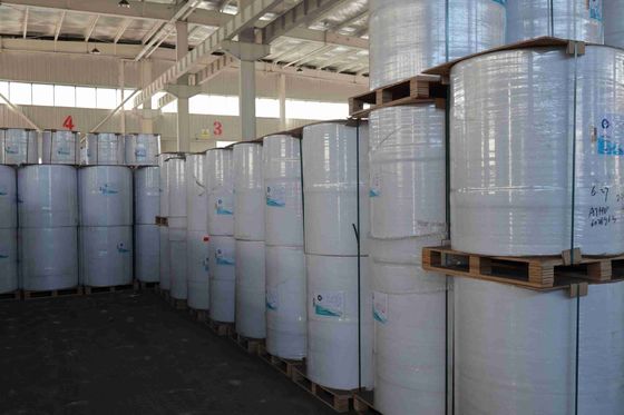 BPA ฟรี โฟกัส แบรนด์ กระดาษร้อน ความเรียบเนียนสูง ความหนาแน่นทางแสงที่เหมาะสม 100% ผงไม้นําเข้า